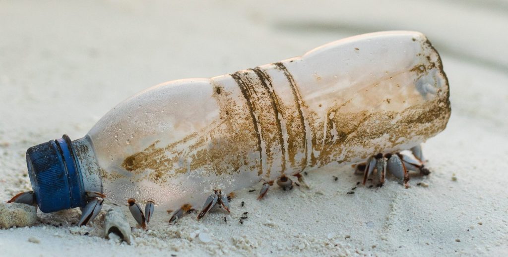 Pour en finir avec les pailles en plastique